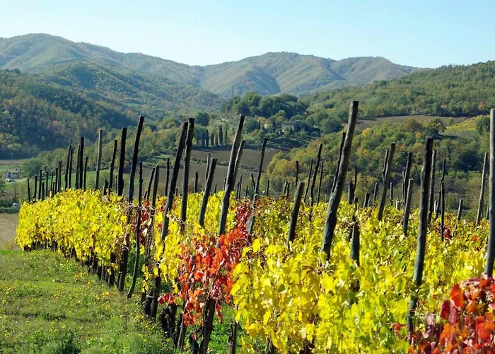 Apartamento Casa Volta Sansepolcro